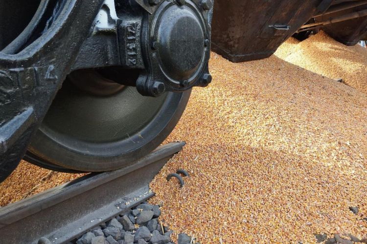 Польша: Протест фермеров привел к тому, что украинское зерно высыпалось из товарного поезда