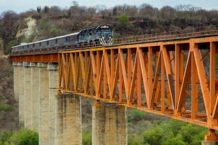 Mexiko: Ferromex zastavil provoz nákladních vlaků, aby zajistil bezpečnost migrantů