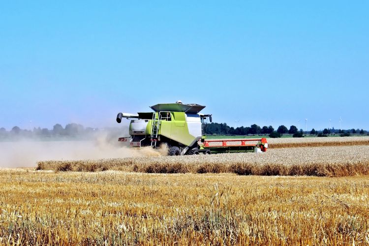 Kasachstan: Getreideverladung seit Jahresbeginn um 16% gestiegen