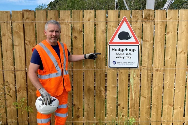 Network Rail protects hedgehogs: 'highway' plan for them on track in Glasgow’s southside
