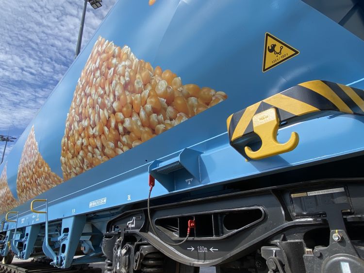 Ukrainian grain exports by rail: routes, countries, carriers and wagons (updated)