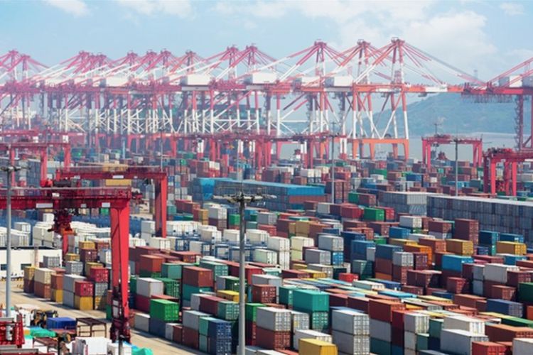 Shanghai maintains global leadership in container shipping with 3.6% growth