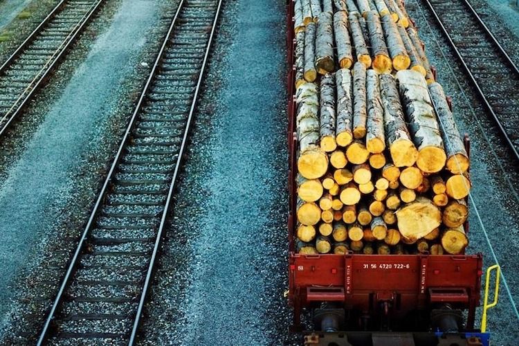 Rail Cargo Hungaria meets the increased demand for firewood by doubling the transport capacity