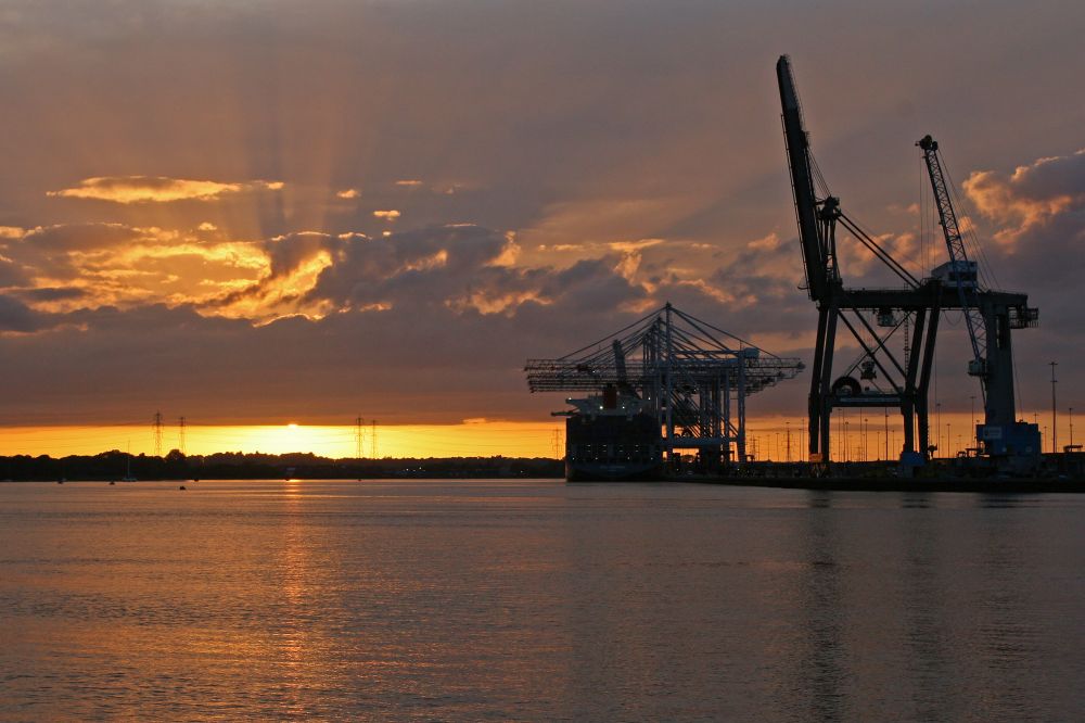 © DP World