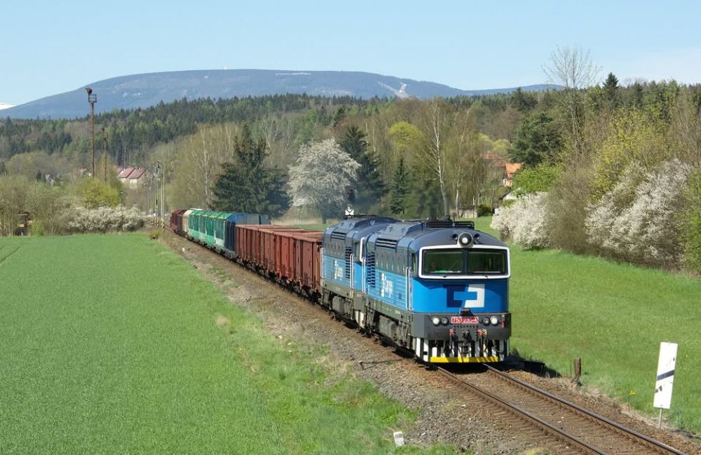 Timber is one of primary commodities of local trains in the dense freight network in Czechia © ČD Cargo