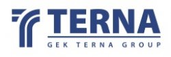 TERNA S.A. logo