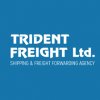 Trident Freight Ltd. logo