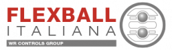 Flexball Italiana Srl logo