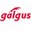 Galgus Global SL logo