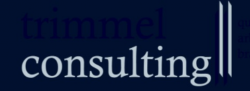 trimmel-consulting gmbh logo
