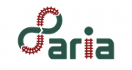 African Rail Industry Association logo