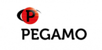 Pegamo Industrial Division SL logo